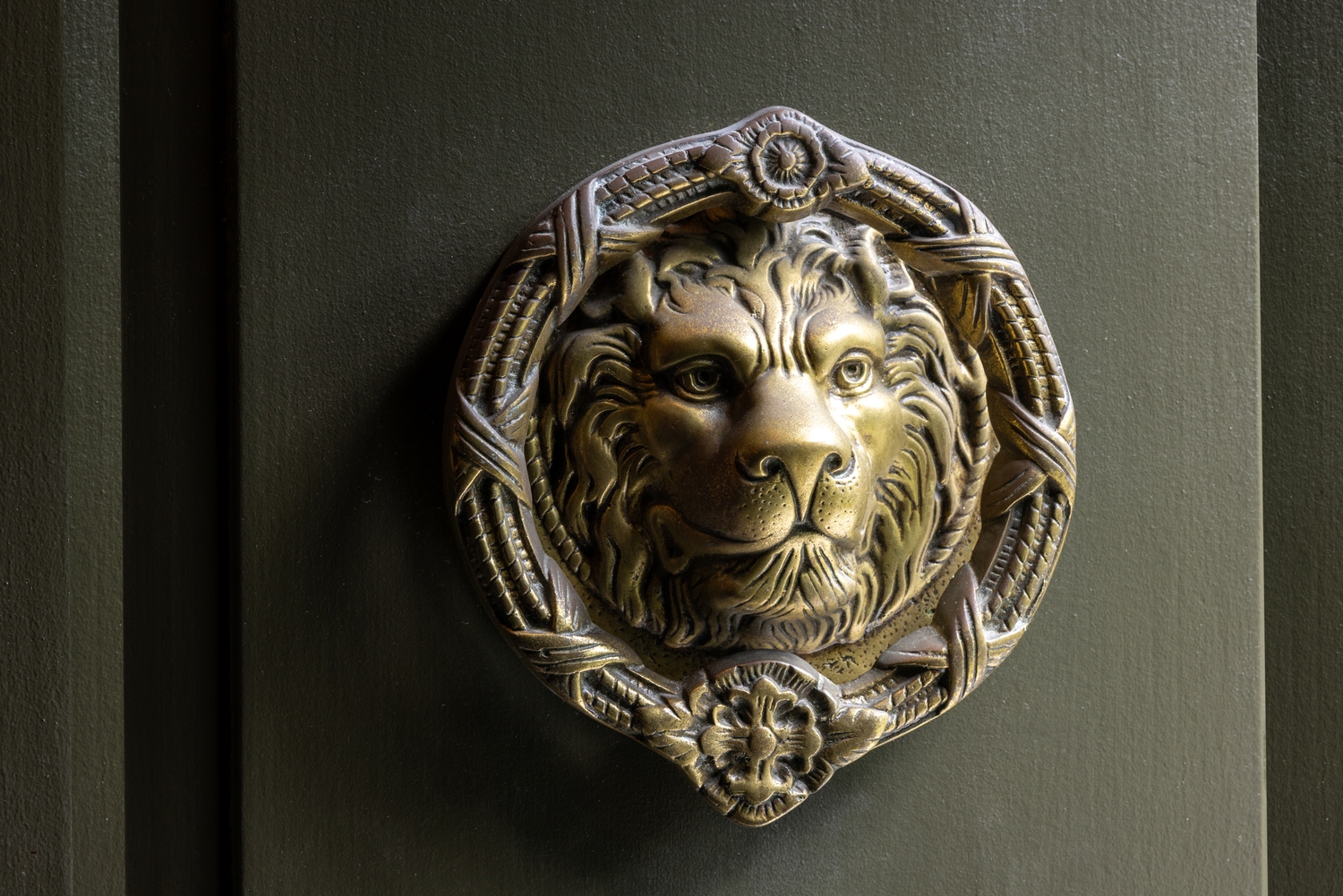 Detail Front Doot Knocker