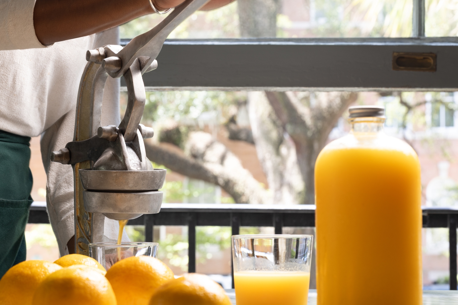 Food Orange Juice
