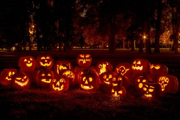 Group of candle lit carved Halloween pumpkins in park. - Image by Teri Virbickis in Shutterstock.com